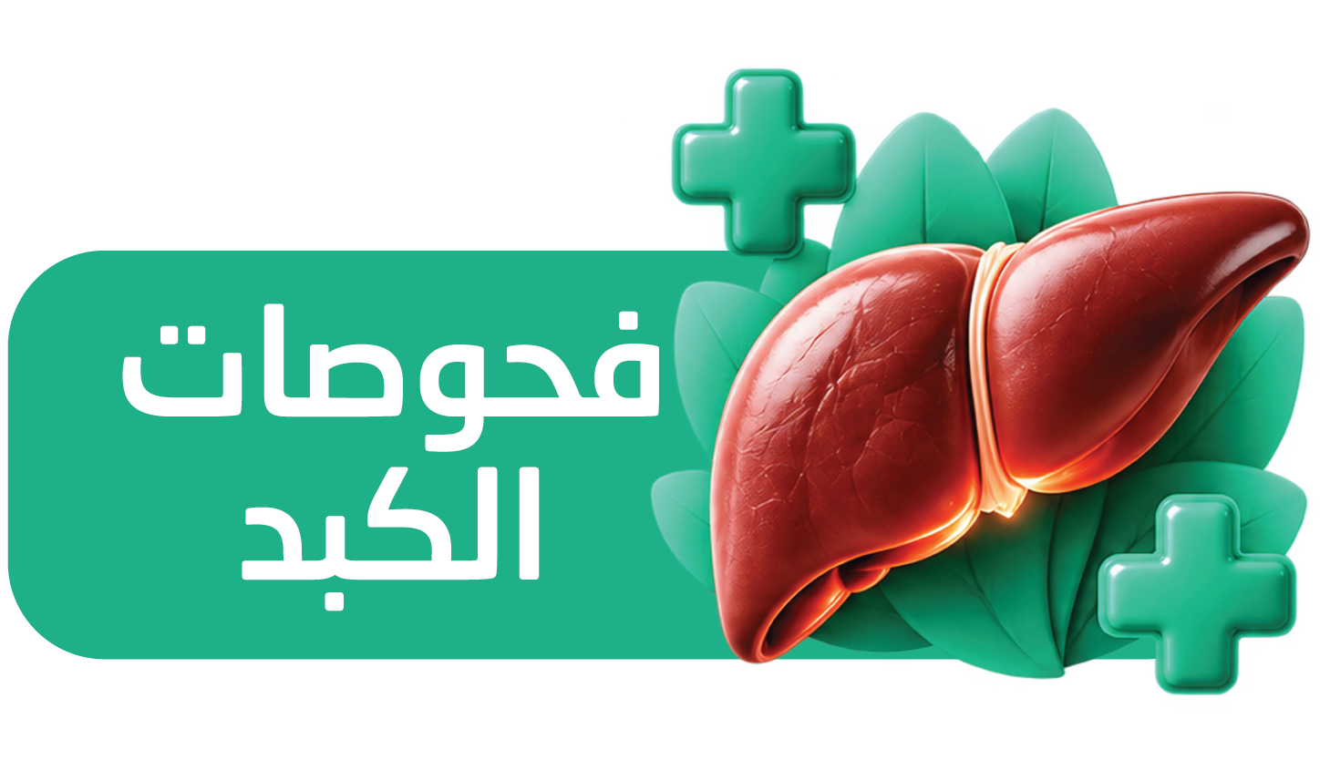 باقة تحاليل وفحوصات صحة الكبد