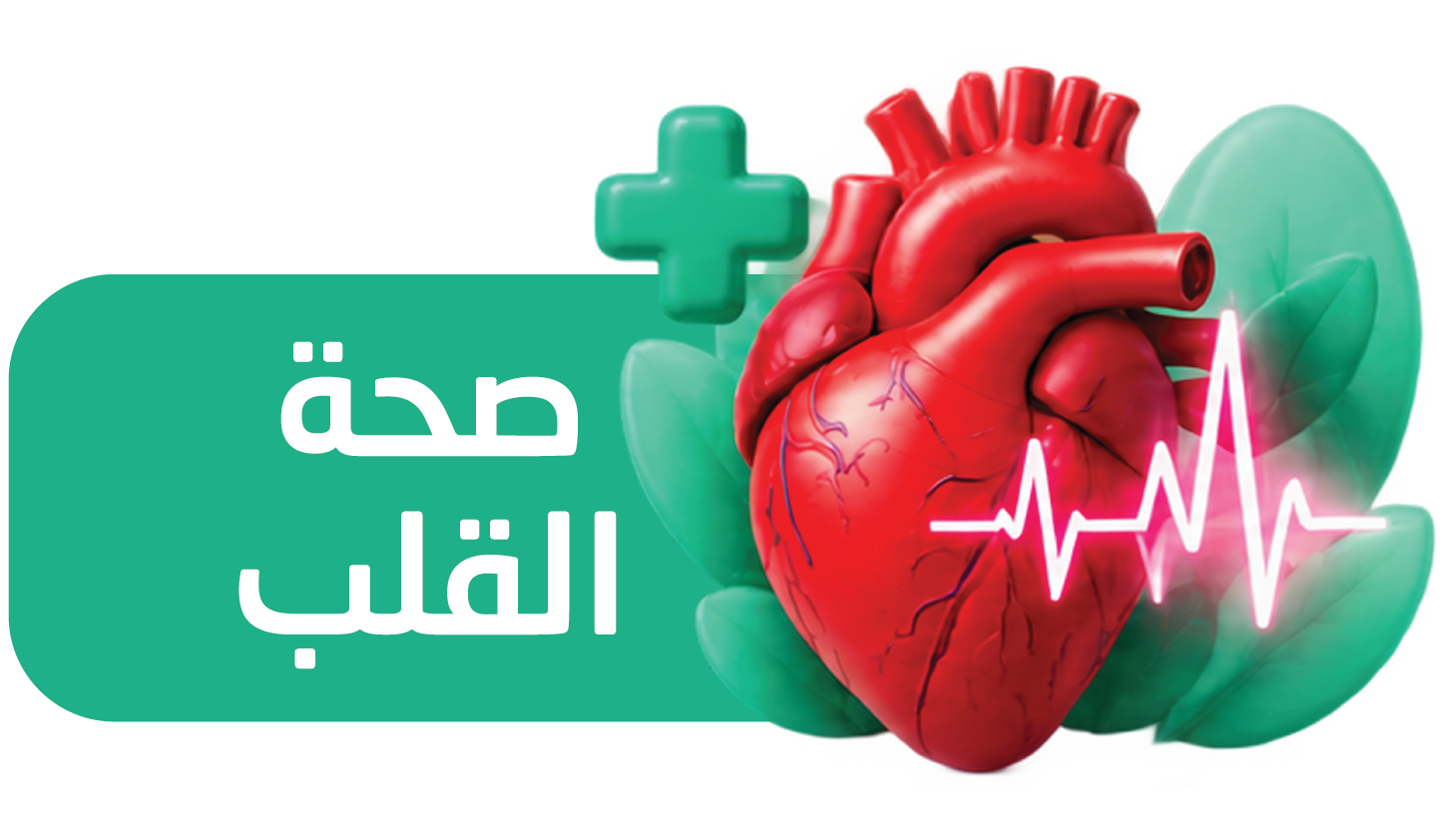 باقة تحاليل وفحوصات صحة القلب