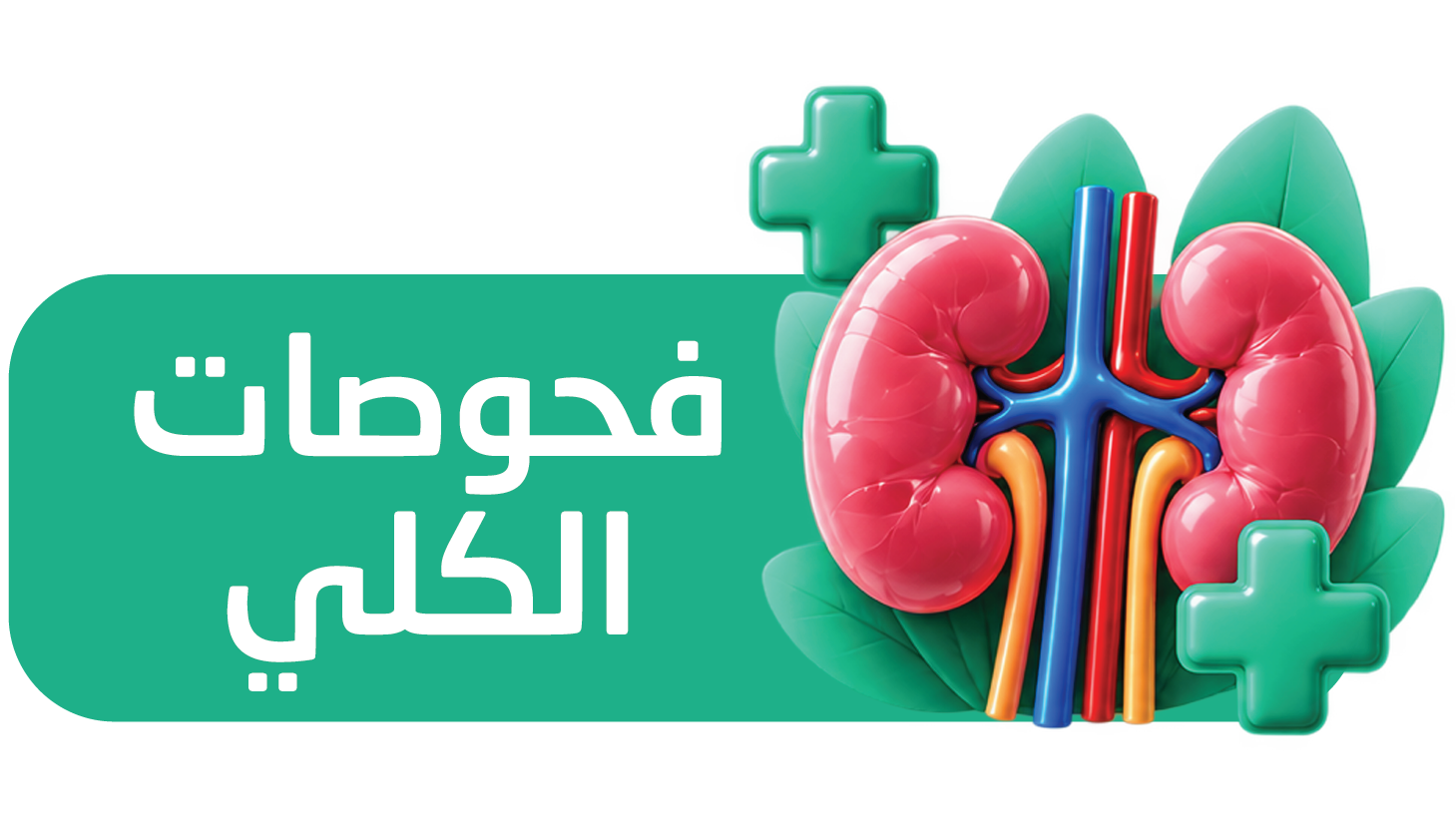 باقة تحاليل وفحوصات الكلي